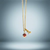 Capricorn Constellation Birthstone Pendant Necklace