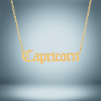 Capricorn 12 Zodiac Sign Letter Constellations Necklace for Women Men Birthday Gift